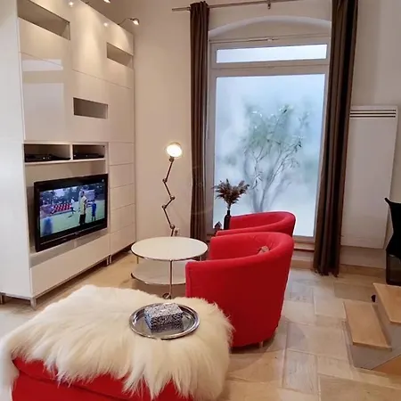 Standing Dans Bel Particulier アパート ディジョン