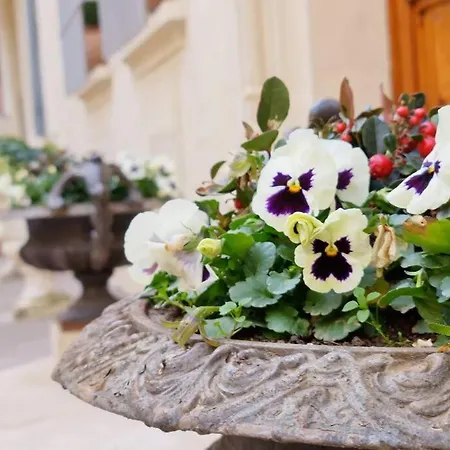 Standing Dans Bel Particulier Lägenhet *