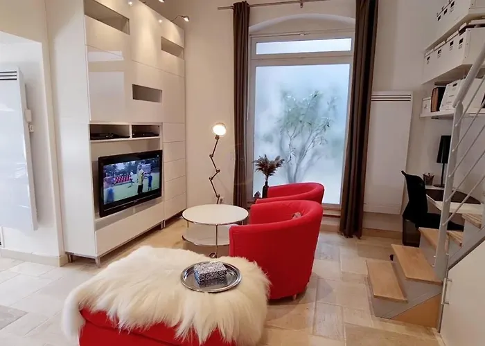 Standing Dans Bel Particulier Apartment Dijon