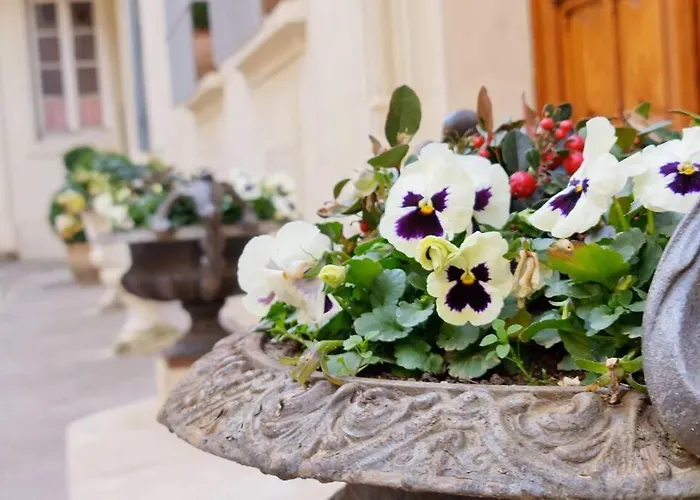 Standing Dans Bel Particulier アパート *